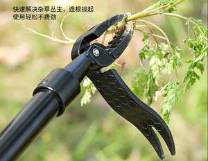 Extracteur d'<span class=keywords><strong>herbe</strong></span> sans flexion Outil de jardinage manuel en acier inoxydable - Product Image 4