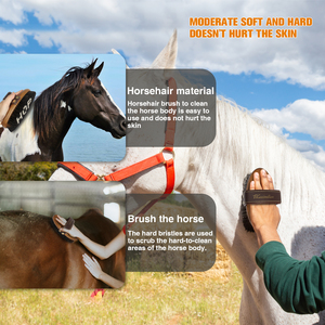 Commercio all'ingrosso della fabbrica Logo personalizzato prodotti per la cura del cavallo cane in legno cavallo spazzola per la pulizia del corpo cavallo toelettatura spazzola - Product Image 6