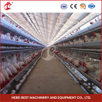 Conception de dessin Cages de batterie de poulet de couche de ferme avicole pour 5000 couches
