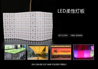 Panneau LED rétroéclairé en marbre 240*480MM RGB+2700K+6500K RGBCW 288 LED/pièce, double blanc, 5 couleurs, avec USB pour éclairage paysager