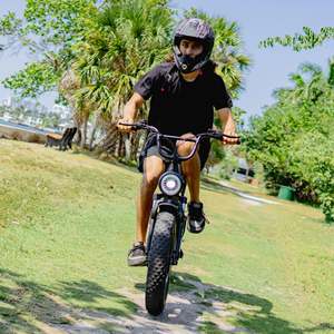 Bicicleta Eléctrica Estilo Ciclomotor MEELOD DK200 de Nivel Básico, Motor de 750W, Batería de 624Wh, Resistente al Agua IP65, Cuadro de Acero al Carbono, Suspensión Delantera, 35-50 Mo - Product Image 6