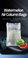 Film de protection GZGJ PE+PA 40 microns, sac à colonnes d'air pastèque, emballage antichoc - coussin à bulles gonflable, protection des fruits