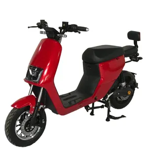 廉价电动自行车成人电动踏板车摩托车隐藏电池电动自行车 (48V 12A)