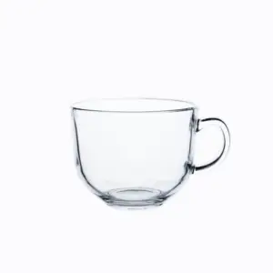 Ins Style Glass Coffee Mug with Handle for Breakfast Tea Milk Beverage Oats yoghurt Cappuccino Cereal Latte