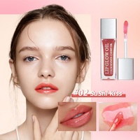 Pudaier: Muestra Gratuita al por Mayor de Brillo Labial Hidratante, Duradero, Colorido, Voluminizador – Maquillaje de Aceite Labial de 5 Tonos