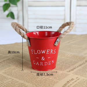 <span class=keywords><strong>Maceta</strong></span> retro de hierro y adornos de <span class=keywords><strong>maceta</strong></span>, decoración rural para el hogar florero en <span class=keywords><strong>maceta</strong></span> - Product Image 6