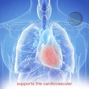 <span class=keywords><strong>Vitamin</strong></span> <span class=keywords><strong>B</strong></span> kompleks dan <span class=keywords><strong>C</strong></span> suplemen termasuk B1 B2 B3 B5 B6 B7 B8 B9 B12 untuk remaja baru lahir energi otak dukungan jantung - Product Image 2