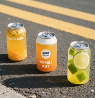 BSBH Logo personnalisé, boîte de boisson transparente en PET, couvercle facile à ouvrir, 330 ml, 400 ml, 500 ml, boîte de soda en plastique vide pour boissons gazeuses