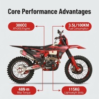 Neues ZTOT 300cc 4-Takt Benzin-Dirtbike PR300R 15kW 8500U/min 116km/h für Rennstrecke, Wald und Offroad-Wettbewerbe