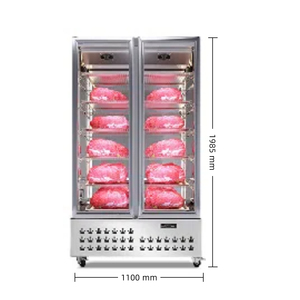Vitrina refrigerada comercial de doble puerta NE-332, de acero inoxidable 304, con capacidad para 800L de carne cocida seca, enfriada por aire y con descongelación automática. - Product Image 4