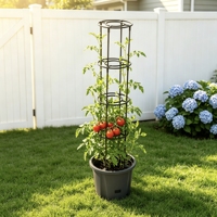 Pot en plastique pour plantes grimpantes avec treillis, ensemble de support de culture pour plantes de jardin, 4 niveaux