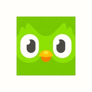 Compte Premium Duolingo Pro 1 an, applicable dans le monde entier, activez votre propre compte - Product Image 4
