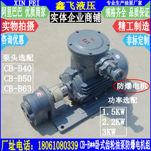 Bomba de Aceite para Engranajes Horizontal WBZ-CB-B40 B50 B63 con Motor Antiexplosivo de 2.2KW, Conjunto de Bombas Hidráulicas YB3-100L-4 - Product Image 1