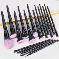 Daily Queen & Mor-phe 19 pièces Pinceaux de maquillage en poudre à manche noir brillant Nano Hair Glossy Black Handle, Qualité supérieure et sensation luxueuse, Logo personnalisé