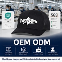 Casquette de camionneur OEM ODM avec patch paysage naturel poisson truite, broderie 3D, maille, snapback, 6 panneaux, coton, petit MOQ, Barudan, DDP, expédition rapide