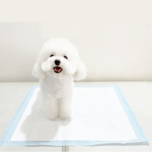 Prix Abordable, Échantillon Gratuit, Tapis à Langer Jetables, Tapis pour Chiots, Tapis d'Incontinence, Tapis Anti-Fuites pour Chiens, Bébés, Adultes - Product Image 6