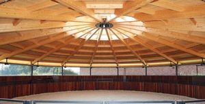 Arenes d'entraînement pour chevaux avec toit en vinyle, structure métallique robuste recouverte, clôture en bambou, enclos rond et anneau de lunging - Product Image 4