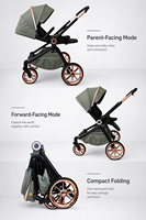 Poussette Bébé Tout-Terrain Personnalisable avec Logo, Pneus Pneumatiques, Suspension Avancée, Système de Voyage 2-en-1 EN1888 ASTM