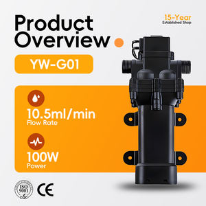 YW G01 12/21/24 V Kupferdraht motor Vakuum Selbst ansaugende Membran pumpe für die landwirtschaft liche Bewässerung - Product Image 2