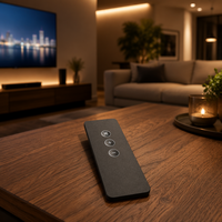 Spécialisé dans la production de panneaux de commande audio intelligents universels noirs sérigraphiés de haute qualité pour les projets OEM/ODM.
