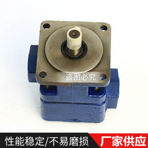 Pompe à huile hydraulique à double palette de type YB1 fournie par le fabricant, pompe à huile hydraulique à moyenne pression avec une qualité fiable - Product Image 5