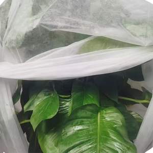 Rollo de tela no tejida para agricultura agrícola no tejida Super ancho empalme Pp tela no tejida <span class=keywords><strong>manta</strong></span> helada para <span class=keywords><strong>plantas</strong></span> - Product Image 5