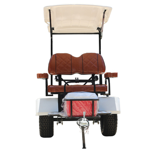 Carrito de Golf Eléctrico Shininglsv con Diseño Combinado de Iluminación Nivelada, 2 Plazas y Remolque - Tipo de Combustible Ecológico - Product Image 3