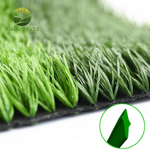 中国制造商足球场环保防水人造草足球场 & 球场耐用8年寿命 - Product Image 2