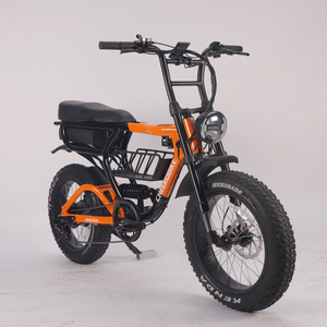 Bicicleta Eléctrica de 20 Pulgadas con Ruedas Anchas, Doble Motor y Doble Batería, 2000W ATV08X - Product Image 1