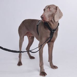 頑丈で耐久性があり、調整可能な、戦術的なデザインの犬用ハーネス。クイックリリースバックルとカスタムロゴオプション付き。 - Product Image 6