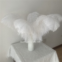 Bricolage grande plume blanche carnaval 70-75cm plume d'autruche pour la décoration de fête