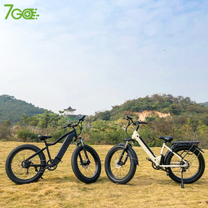 Vtt électrique à pneus larges, 2022 de 48V 500W/1000w, vélo de descente à suspension complète - Product Image 2