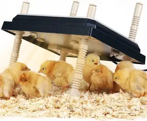 Anti-roost Cone Set Baby Chick Brooder Brooding Pavilion Chicken Heating Plate For Chicks