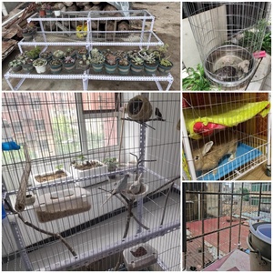 Maglia saldata Versatile del foro rettangolare 15*100mm con il filo di ferro di 2.0/1.8mm - Product Image 6