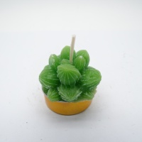 Handgemachte Kaktus-Serie Kerzen in Blumen- und Kaktusform, außerirdisch geformte Kerzen bieten emotionale Würde für Party- oder Heimdekoration.