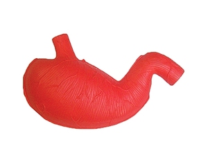 Bola antiestrés de espuma con logotipo personalizado, forma de riñón de PU para niños y adultos, regalo promocional de negocios - Product Image 6