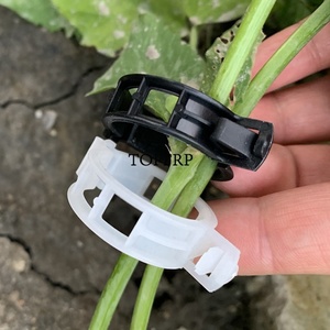 Plastic Plant <b>Support</b> Clips, Greenhouse <b>Tomatoes</b> Plant Clips - Product Image 6