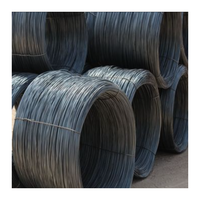 Fil d'acier doux à faible teneur en carbone, noir recuit, haute résistance, qualité Q195, 18 mm, 2 mm, 3 mm, fil étiré pour la fabrication de clous, fourni par une usine chinoise