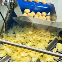 Verkoop kleine aardappelchipslijn, Franse verwerkingsfriteuse, bananenproductie, belangrijke machine, professionele fabriek