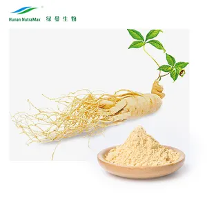 Organic Ginseng Powder Panax Ginseng Extract Bulk Ginseng Root Powder for Healthcare Supplement