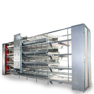 Nuevo Sistema Automático de Jaulas para Aves de Corral en Forma de H de Múltiples Niveles, Alojamiento Eficiente para Gallinas Ponedoras para la Producción de <span class=keywords><strong>Huevos</strong></span> a Gran Escala, Ahorro de Espacio - Product Image 1