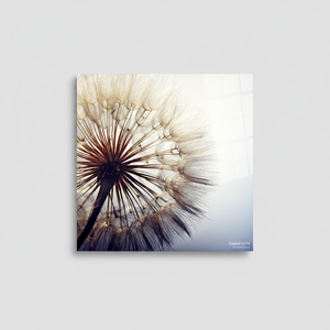 Minimalist Botanical <b>Dandelion</b> Close-Up <b>Printed</b> Canvas Artwork,TEMPERED GLASS ART - Product Image 2