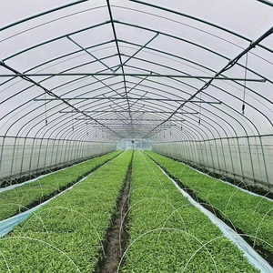Invernadero Comercial para Cultivo de Vegetales de Hoja Americana de 10x40m |   Sistema Hidropónico con Riego Automático |   para lechuga - Product Image 6