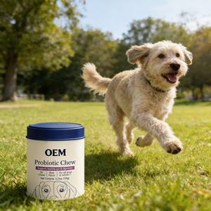 Tabletas Masticables Probióticas para Perros OEM ODM, Alto Contenido Proteico, Apoyo Inmunológico, Salud Intestinal, Apoyo Digestivo, Salud de la Piel y el Pelaje, Suplemento para Mascotas - Product Image 6