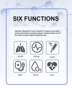 จอภาพสัตวแพทย์แบบพกพาขนาด12.1นิ้วเครื่องตรวจจับคลื่นไฟฟ้า ECG แบบ2ชั่วโมง3ระดับเครื่องมือตรวจสอบสัตวแพทย์ - Product Image 5