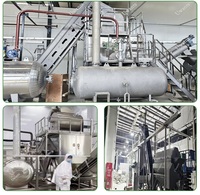 Industriële stoomdrukschilmachine, voedselveilige, op maat gemaakte apparatuur voor commerciële fruit- en groenteverwerking, stoomschiller