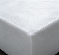 Vente en gros usine – Rouleau de tissu non tissé en PP spunbond blanc 30-80 g/m² – Matière première douce pour protège-matelas jetable