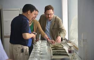 <span class=keywords><strong>Chine</strong></span> Usine Prix <span class=keywords><strong>de</strong></span> gros <span class=keywords><strong>4011</strong></span> Premium Chunmee Feuilles <span class=keywords><strong>de</strong></span> thé <span class=keywords><strong>vert</strong></span> - Product Image 4