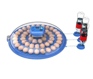 Ufo Incubator Ronde Type Kippeneieren Incubator Automatische Kleine Broedmachine Eieren