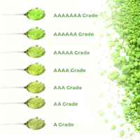 Matcha en poudre biologique 100% de qualité supérieure, de qualité cérémonielle, en sachets, marque privée